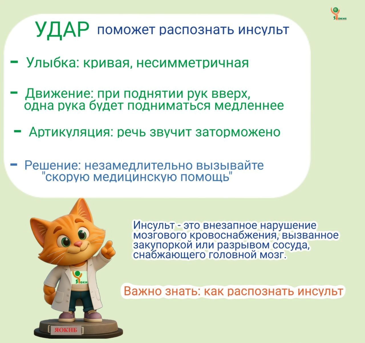 Всемирный день борьбы с инсультом