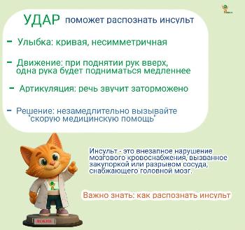 Всемирный день борьбы с инсультом